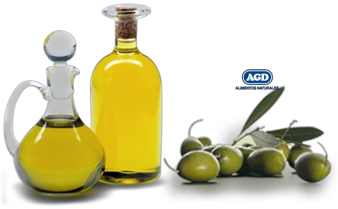 Nutricion - Copisi